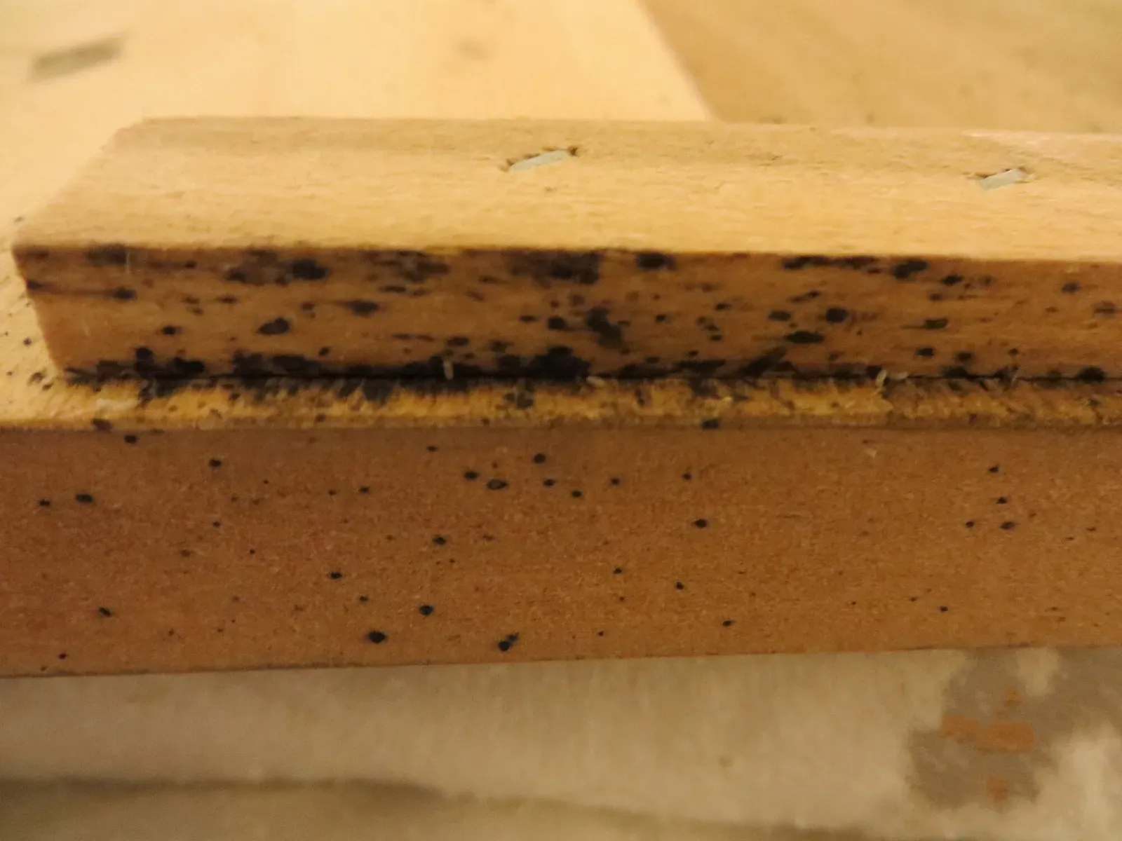 Black ink-like bed bug droppings spotted along the edges of a wooden bed frame slat