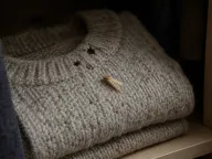 Clothes moths