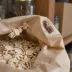 Pantry moths
